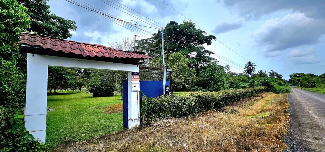 Venta de Finca en Guácimo de Limón 10.900 m2 REBAJADA