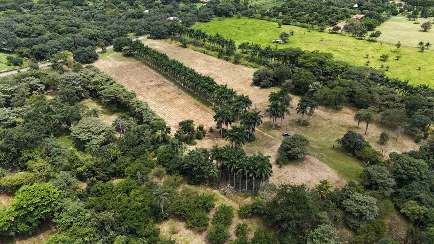 Finca en Venta en San Mateo de Orotina 67.000 m² - Imagen 9