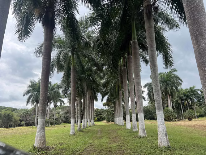 Finca en Venta en San Mateo de Orotina 67.000 m² - Imagen 7