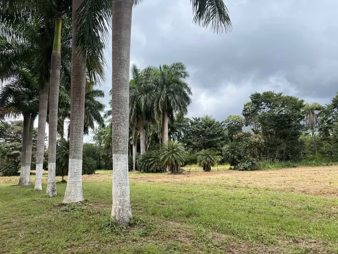 Finca en Venta en San Mateo de Orotina 67.000 m² - Imagen 8