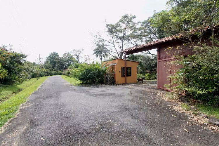 Casa de lujo en venta en Atenas, con piscina, pozo, apartamento y viñedo - Imagen 19