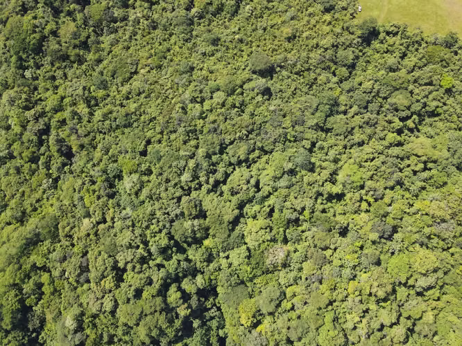Finca en Venta en Orotina, 56 Hectáreas, potencial desarrollar. - Imagen 15