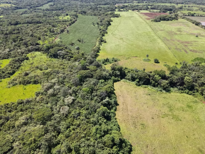 Finca en Venta en Orotina, 56 Hectáreas, potencial desarrollar. - Imagen 16