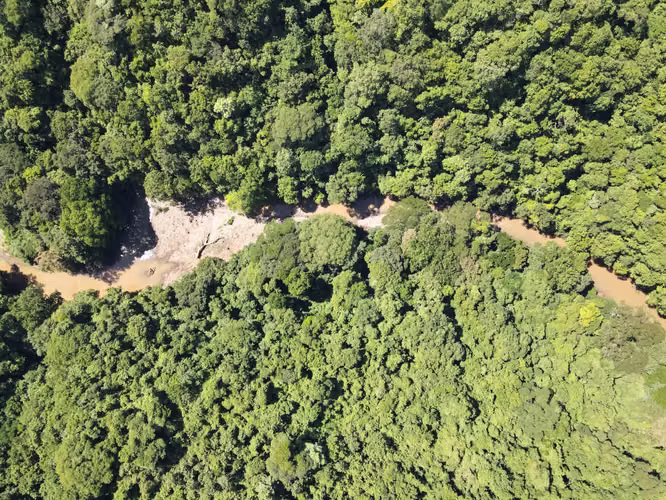 Finca en Venta en Orotina, 56 Hectáreas, potencial desarrollar. - Imagen 2
