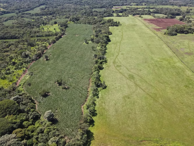 Finca en Venta en Orotina, 56 Hectáreas, potencial desarrollar. - Imagen 11