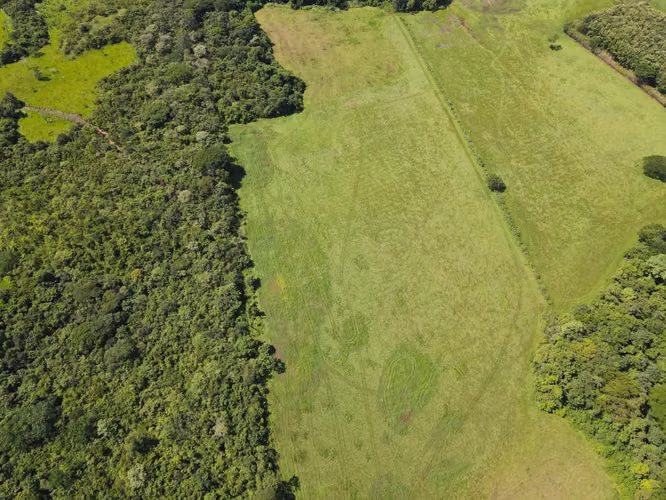 Finca en Venta en Orotina, 56 Hectáreas, potencial desarrollar. - Imagen 7