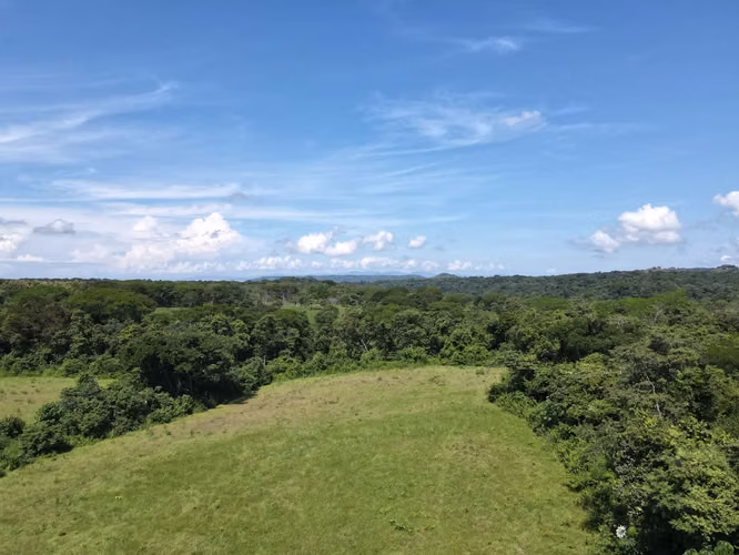 Finca en Venta en Orotina, 56 Hectáreas, potencial desarrollar. - Imagen 12