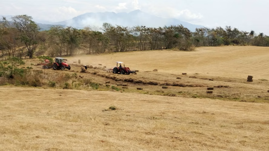 Finca en Venta en Orotina, 56 Hectáreas, potencial desarrollar. - Imagen 10