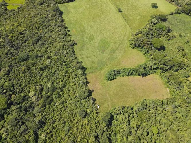 Finca en Venta en Orotina, 56 Hectáreas, potencial desarrollar. - Imagen 14