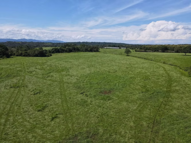 Finca en Venta en Orotina, 56 Hectáreas, potencial desarrollar. - Imagen 20