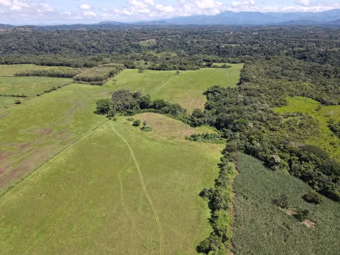 Finca en Venta en Orotina, 56 Hectáreas, potencial desarrollar. - Imagen 6