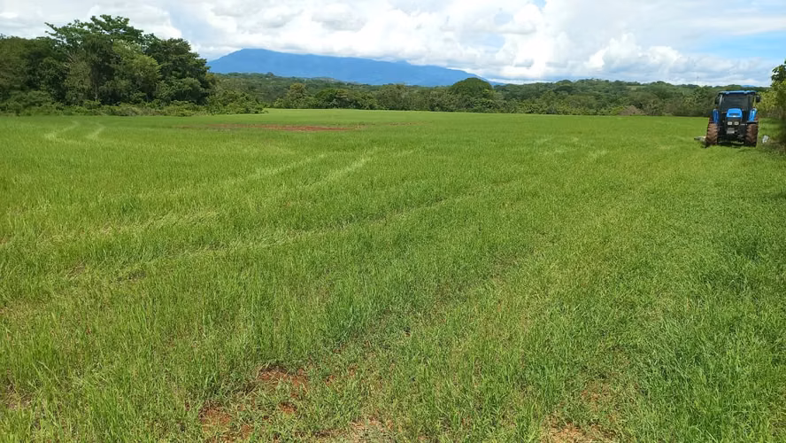 Finca en Venta en Orotina, 56 Hectáreas, potencial desarrollar. - Imagen 3