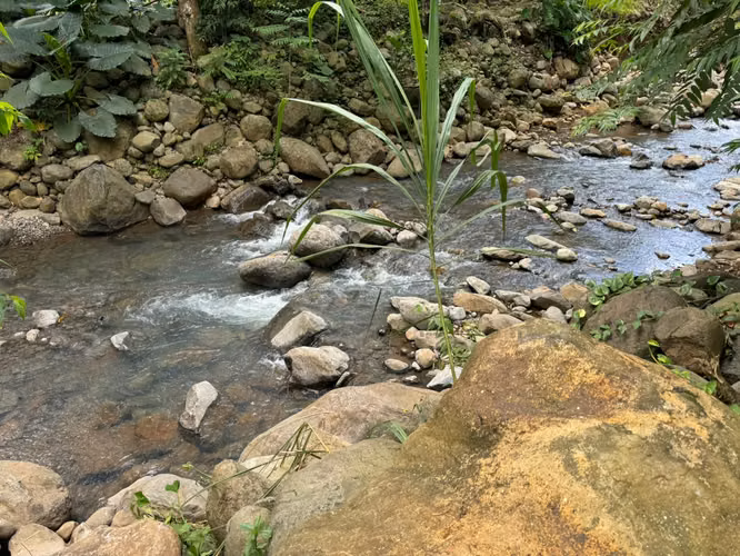 Se vende quinta, La Tigra, San Carlos, Alajuela