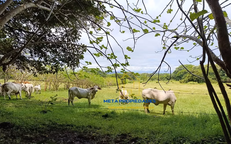 Hermosa Propiedad en el Golfo de Nicoya – con Vista al mar