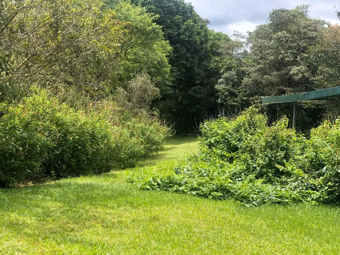 Se Vende finca en San Ramón de Alajuela - Imagen 4