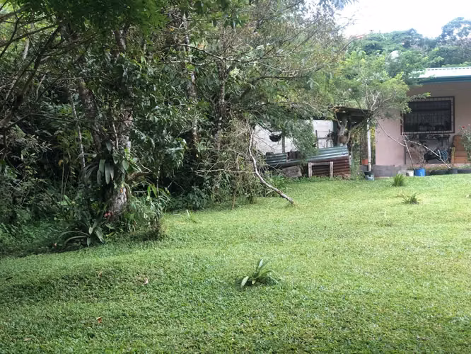 Se Vende finca en San Ramón de Alajuela - Imagen 9