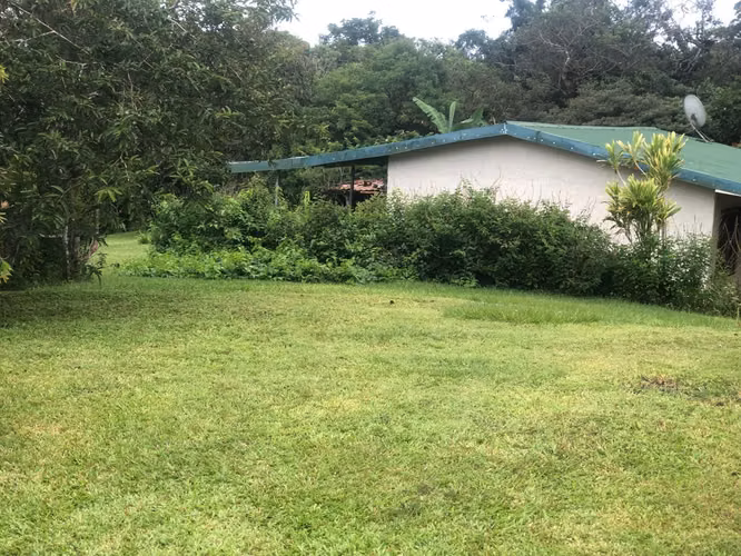 Se Vende finca en San Ramón de Alajuela - Imagen 12