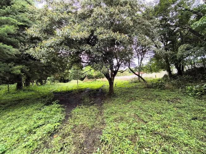 Venta de terreno San Rafael de Heredia - 3 pajas de agua se puede segregar - Imagen 10
