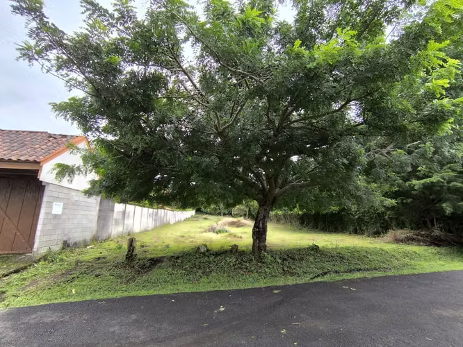 Venta de terreno San Rafael de Heredia - 3 pajas de agua se puede segregar - Imagen 2