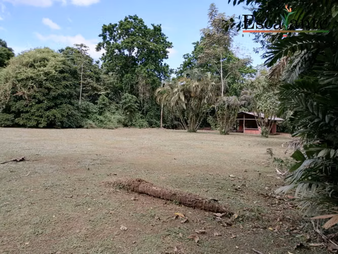 Venta de Lote en Chachagua San Ramon, San Carlos