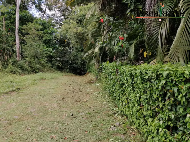 Venta de Lote en Chachagua San Ramon, San Carlos