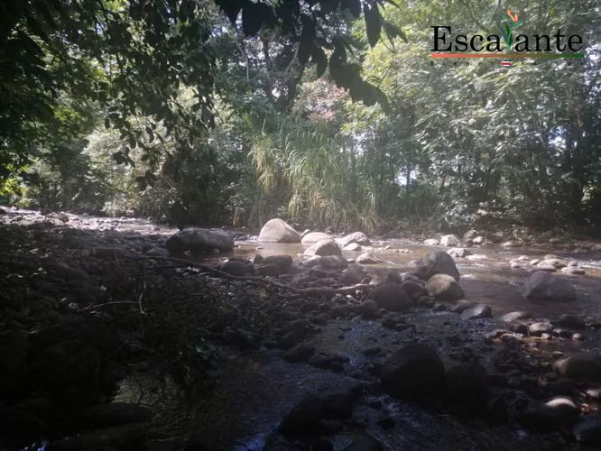 Venta de Lote en Chachagua San Ramon, San Carlos