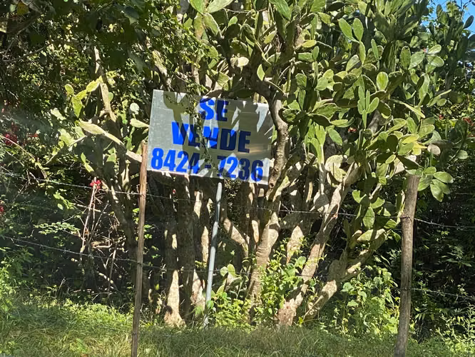 Vendo terreno en Piedades de Santa Ana