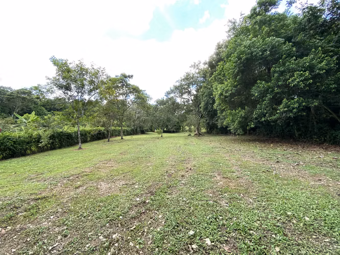 Venta de Lote en Chachagua San Ramón de Alajuela. - Imagen 2