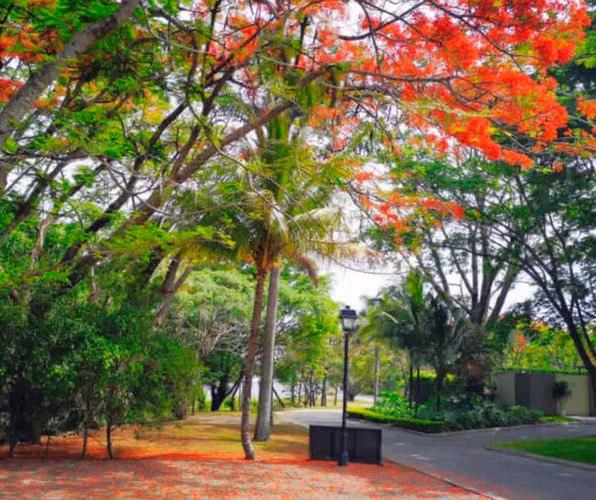 VENTA DE APARTAMENTO-CONDOMINIO PARQUES DEL SOL - Imagen 9