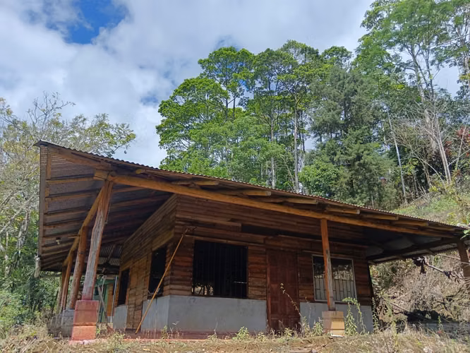 GRAN REBAJO!!!!!Se vende finca San Miguel, La Tigra, San Carlos - Imagen 12