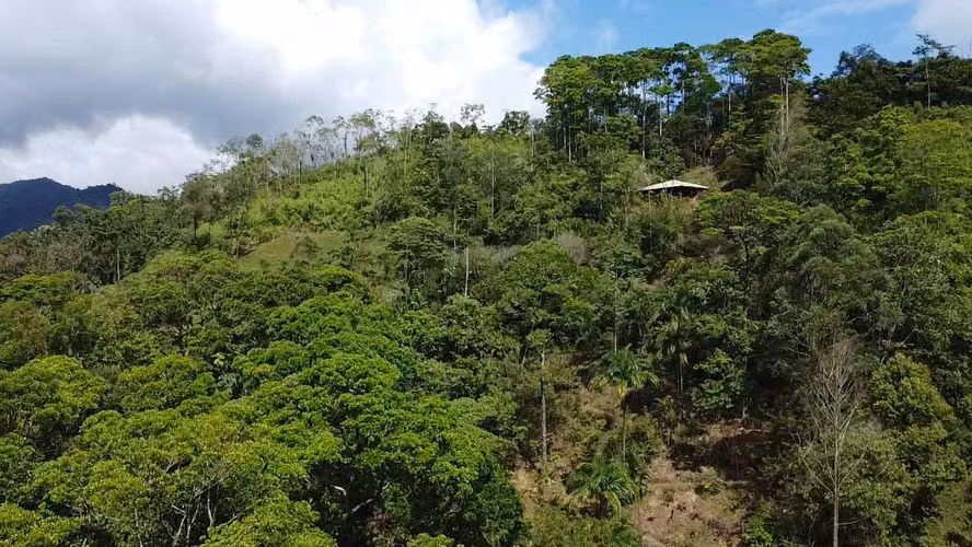 GRAN REBAJO!!!!!Se vende finca San Miguel, La Tigra, San Carlos - Imagen 4