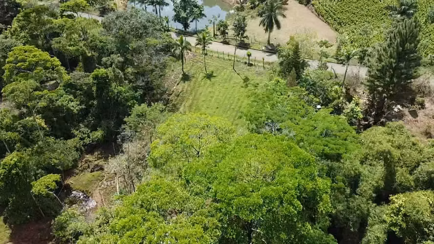 GRAN REBAJO!!!!!Se vende finca San Miguel, La Tigra, San Carlos - Imagen 2