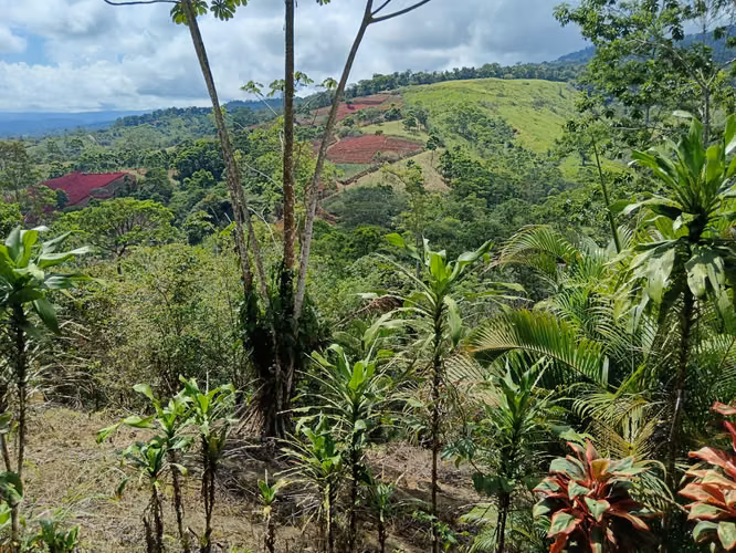 GRAN REBAJO!!!!!Se vende finca San Miguel, La Tigra, San Carlos - Imagen 14