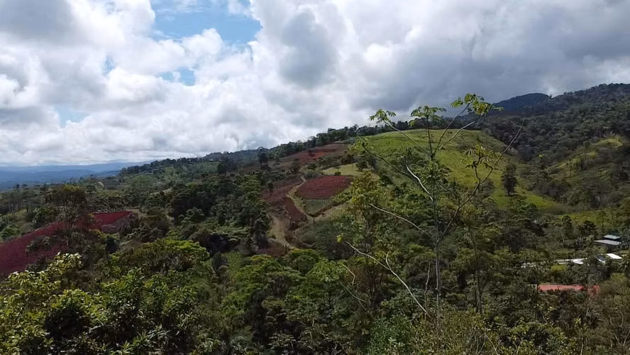 GRAN REBAJO!!!!!Se vende finca San Miguel, La Tigra, San Carlos - Imagen 9
