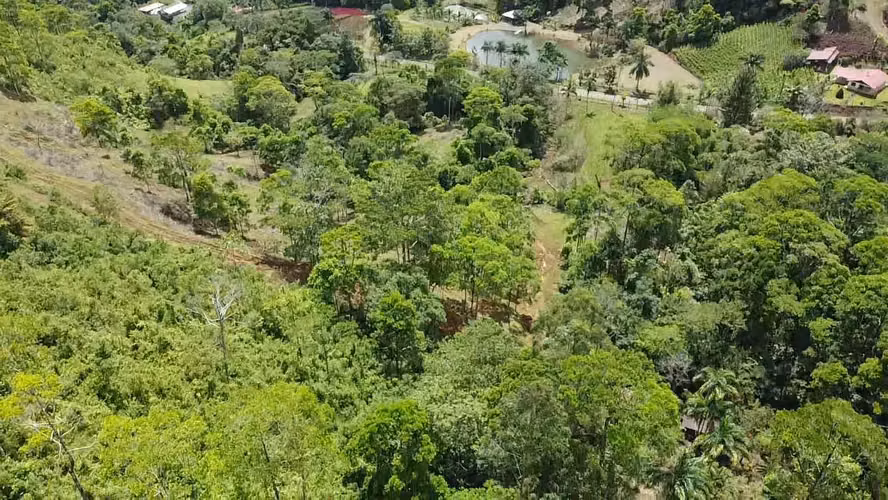GRAN REBAJO!!!!!Se vende finca San Miguel, La Tigra, San Carlos - Imagen 7