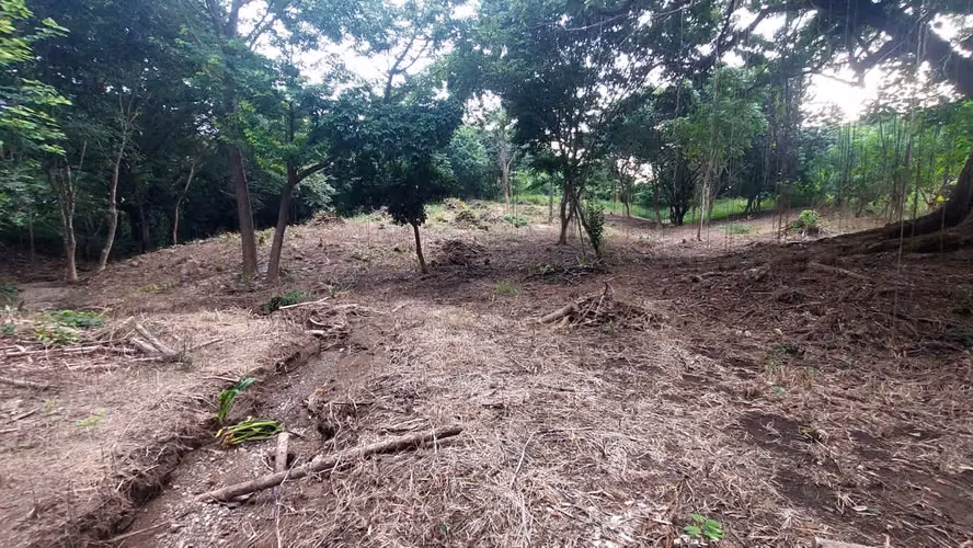 Venta  terreno en Nosara, Guanacaste
