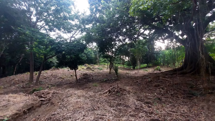 Venta  terreno en Nosara, Guanacaste