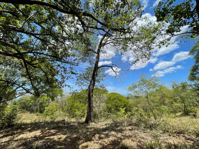Finca con Vista al Mar en Montes de Oro, San Isidro | Puntarenas