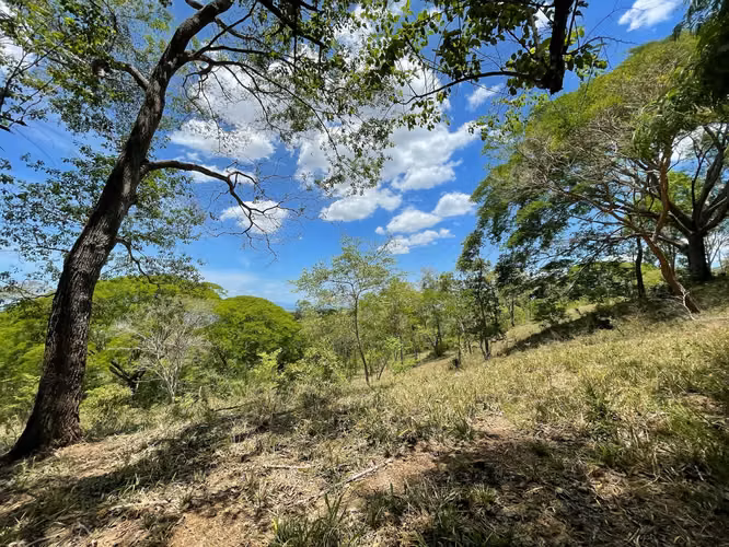 Finca con Vista al Mar en Montes de Oro, San Isidro | Puntarenas