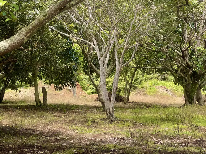 Terreno en Venta en Concepción de San Rafael de Heredia