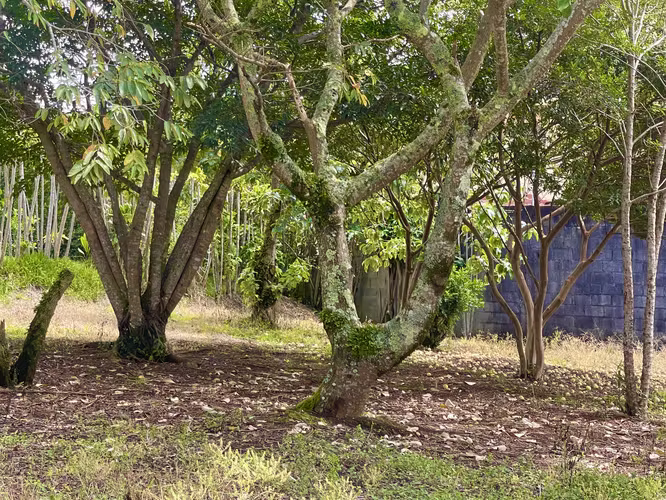 Terreno en Venta en Concepción de San Rafael de Heredia