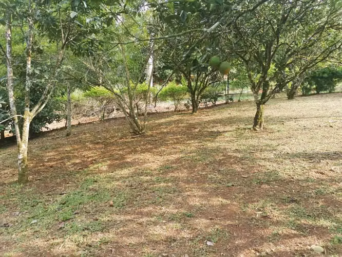 Lote en venta, Florencia de San Carlos, Las Cuestillas, Río peje