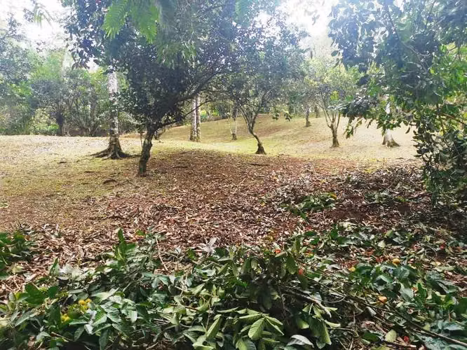 Lote en venta, Florencia de San Carlos, Las Cuestillas, Río peje