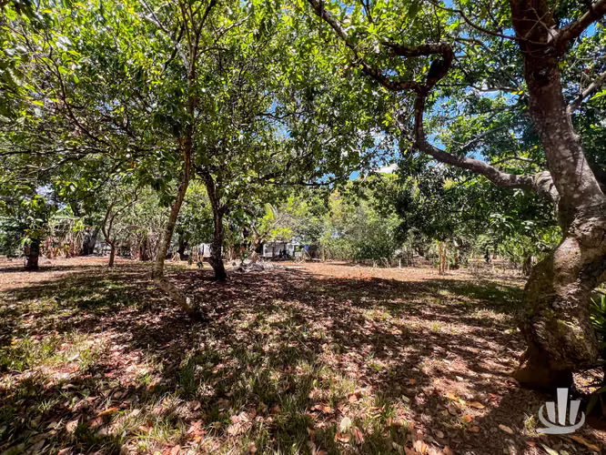 Lote en venta Coyolar, Puntarenas - Imagen 12