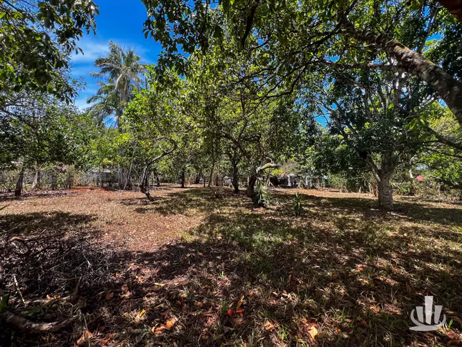Lote en venta Coyolar, Puntarenas - Imagen 10