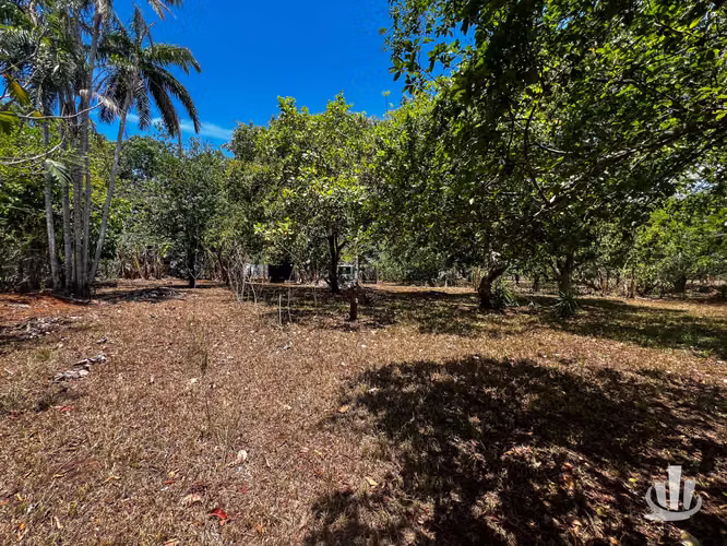 Lote en venta Coyolar, Puntarenas - Imagen 11