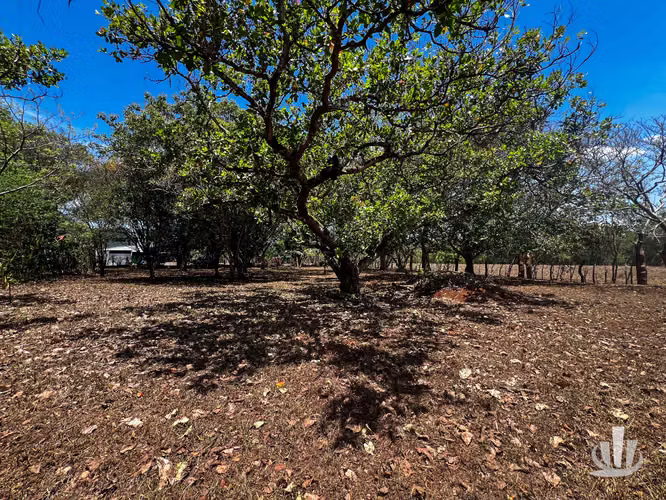 Lote en venta Coyolar, Puntarenas - Imagen 7