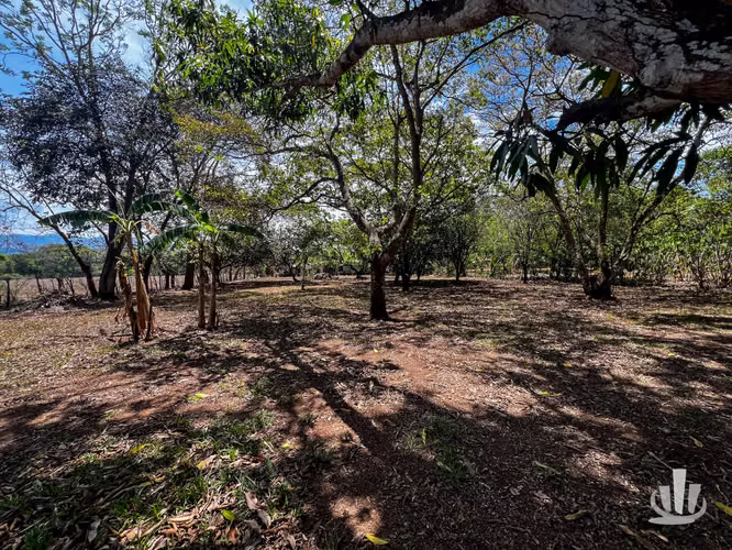 Lote en venta Coyolar, Puntarenas - Imagen 2