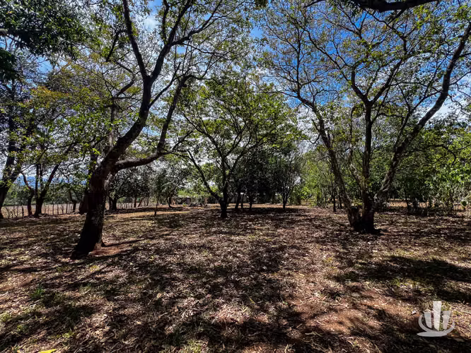 Lote en venta Coyolar, Puntarenas - Imagen 5