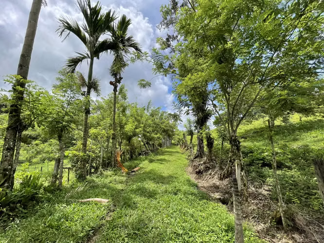 Venta de terreno en Nuevo Arenal con acceso al Lago y vista al Volcán